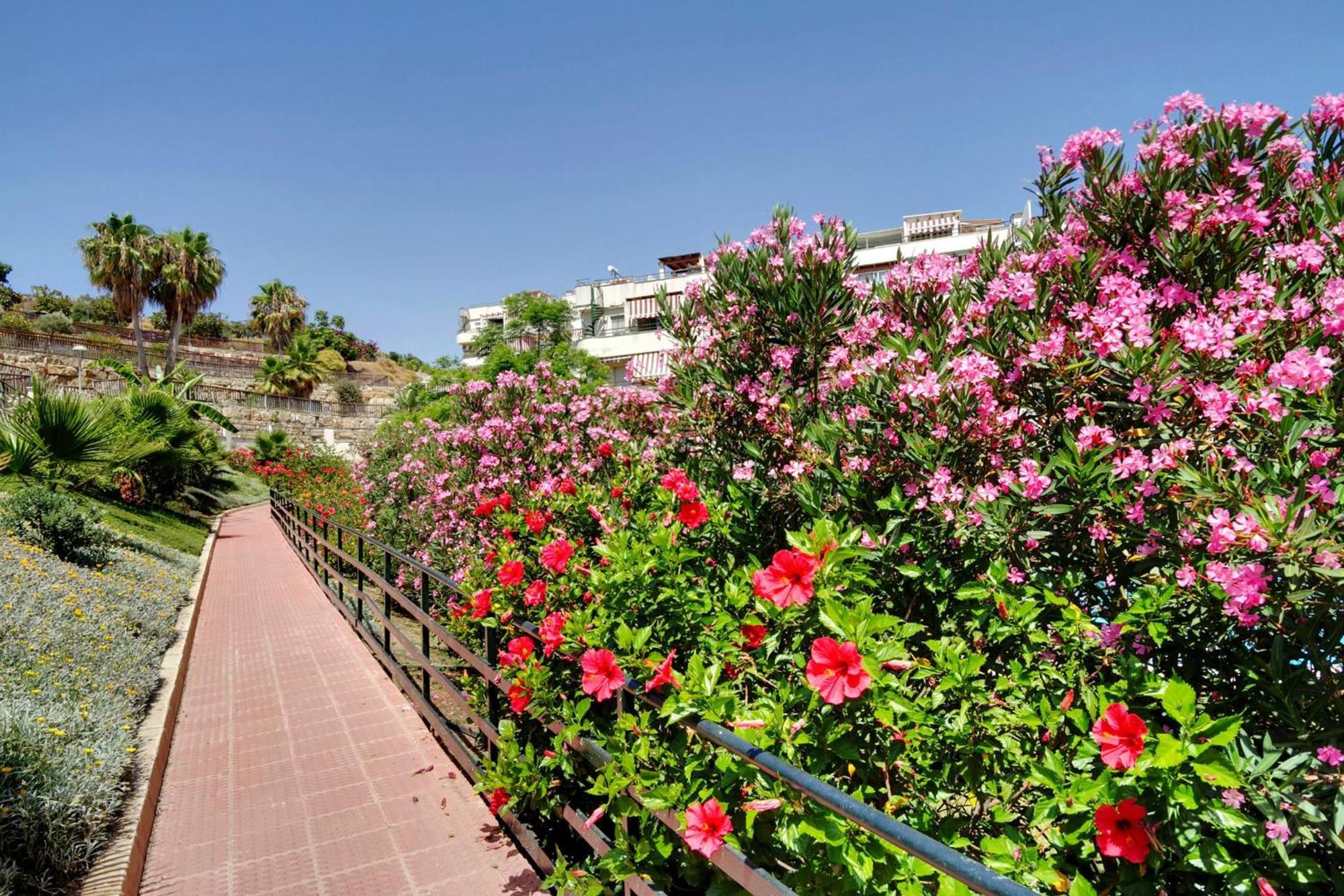 Del Parque Flats - Golf & Beach Terrace 말라가 외부 사진